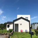 심플토산 이미지