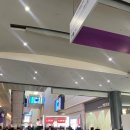 지전농장 | 코엑스 2024 카페쇼 후기(1)