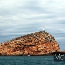 고래등회식당 이미지