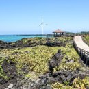 월령리 농어촌체험휴양마을 이미지