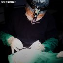 청담코지의원 이미지