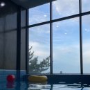 다인 당구장 이미지