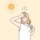 정우약국 네이버블로그
