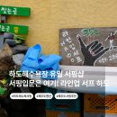 씨유 제주하도점 | [제주 / 하도] 서핑 인생 입문 강습 | 하도해수욕장 유일 서핑샵 '라인업 서프 하도'