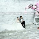 로이뷰티 이미지