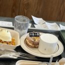 파인드루트 이미지