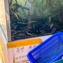 할머니추어탕자양점 | 서울 자양동 맛집 점심 할머니추어탕 자양점 추어튀김