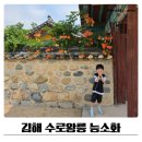 수로 | 김해 수로왕릉 능소화 실시간 후기