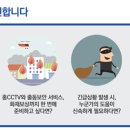 디디하이브
