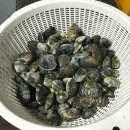 꽃지 팰리스 이미지