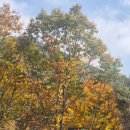 비슬산 유스호스텔 | 2025년 11월 9일 비슬산 방문후기