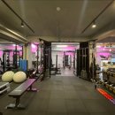 머슬엑스짐 이미지