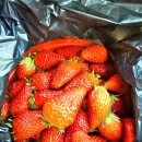 원동농장 이미지