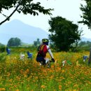 밀양아리랑 오토캠핑장 이미지