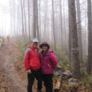 서원동-1 이미지