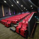 서정카센타 | 《빅 볼드 뷰티풀》: 나와 너를 이해하는 여정