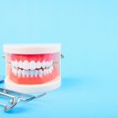 서울필치과의원 이미지