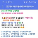 (주)마이여행사