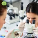 성이약품(주) 이미지