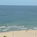 해동그린원룸 | 서핑과 호캉스를 동시에! 송정 더쿨리스트호텔 - 오션뷰 프리미엄 킹 테라스 후기