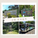 고창 운곡습지 후기 | 탐방열차 이용방법·운행시간·생태공원 관람