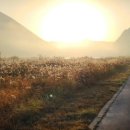 한살림춘천소비자생활협동조합 이미지