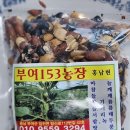 석장농장 이미지