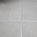 더 팰리스 이미지