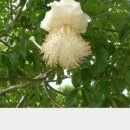 카페 몽몽 이미지