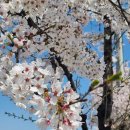 창녕 남산근린공원 이미지