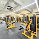 휘트니스W 이미지