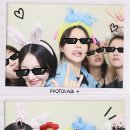 코튼캔디 이미지