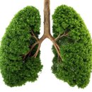 수성메디케어 이미지