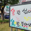 마포, 걷고싶은길 1코스 이미지