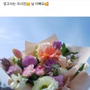 모닝글로리사동 이미지