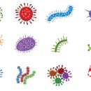 (유)동일약품 이미지