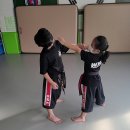 합기도 검도 완무관 이미지