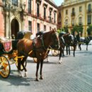 마리아어린이공원 이미지