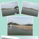 대요낚시터 이미지