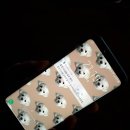 성한렌탈 이미지