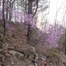 자전거탄풍경 이미지