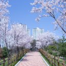 한빛초교(병설) 이미지