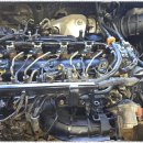 라인모터스 이미지