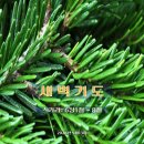 새벽기도 (2026년5월13일) 이미지