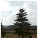 가는 것이 이와 같나니[학풍회 2012년 11월 간산기]