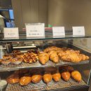 경기도 수원시 팔달구 권광로 181 (인계동) | 수원 인계동 카페, 커피라운지랩 방문 후기