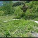 옥정보건진료소 이미지