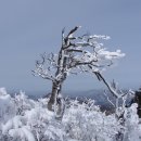 시화전시작품 태백으로 갑니다. (태백역의 시화전시 및 작가사인회 알려드립니다) 이미지