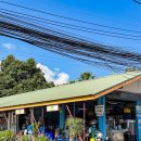 9번식당 | 치앙마이 올드타운 국수집 추천, 블루누들 대표메뉴 8번·9번 후기