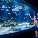 추억속의노래연습장 이미지